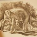 Elephant au fusain